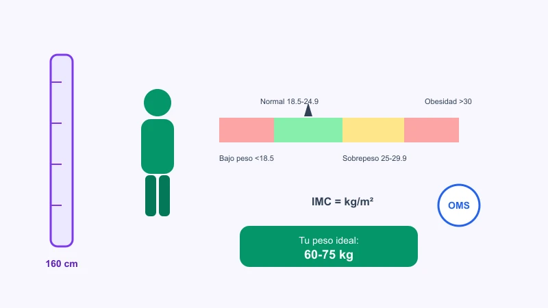 Calculadora de peso ideal según altura e IMC saludable OMS